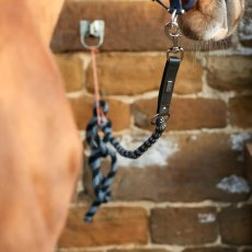 Equilibrium Stellar Safety Lead Rope Equilibrium Stellar Safety Lead Rope