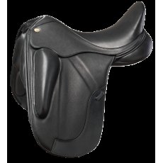 Fairfax Performance Petrus Dressage