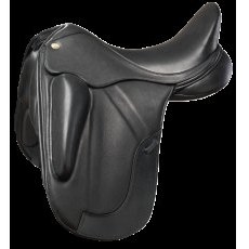 Fairfax Performance Petrus Dressage Fairfax Performance Petrus Dressage
