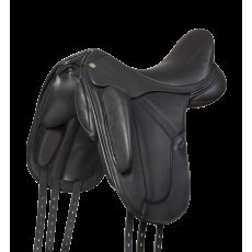 Fairfax Performance Petrus Dressage Fairfax Performance Petrus Dressage