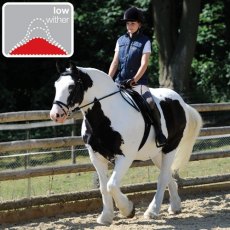 Thorowgood T8 COB GP