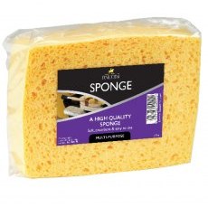 Lincoln Sponge