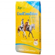 Topspec Cool Conditioning Cubes Topspec Cool Conditioning Cubes