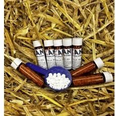 Kelly's Animal Naturals Thuja 30