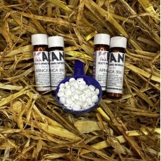 Kelly's Animal Naturals Scutellaria Kelly's Animal Naturals Scutellaria