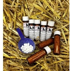 Kelly's Animal Naturals Echinacea 30X Kelly's Animal Naturals Echinacea 30X