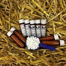 Kelly's Animal Naturals Horse Bellis Perrenis Kelly's Animal Naturals Horse Bellis Perrenis