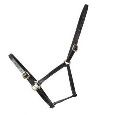 Leather Foal Head Collar Leather Foal Head Collar