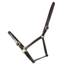 Leather Foal Head Collar Leather Foal Head Collar