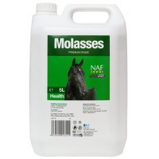 Molasses Molasses