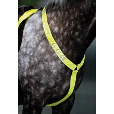 Shires Equi-Flector Breastplate