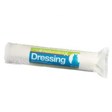 Dressing Dressing