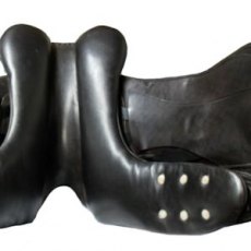 Albion Revelation Couture Dressage