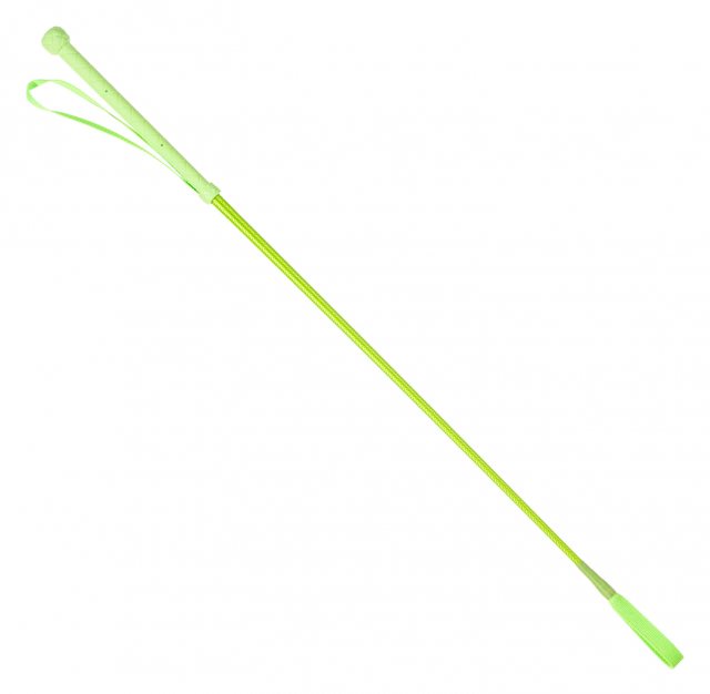 Darley Equestrian Country Direct Neon Bright Whips