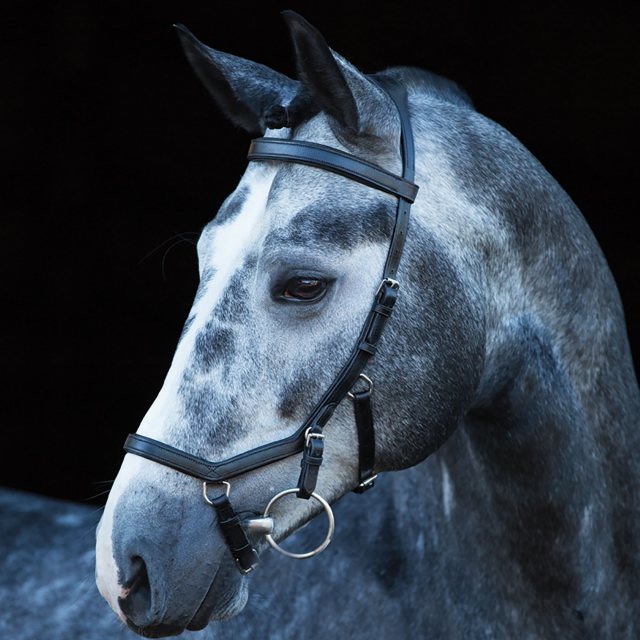 Rambo Rambo Micklem Competition Bridle