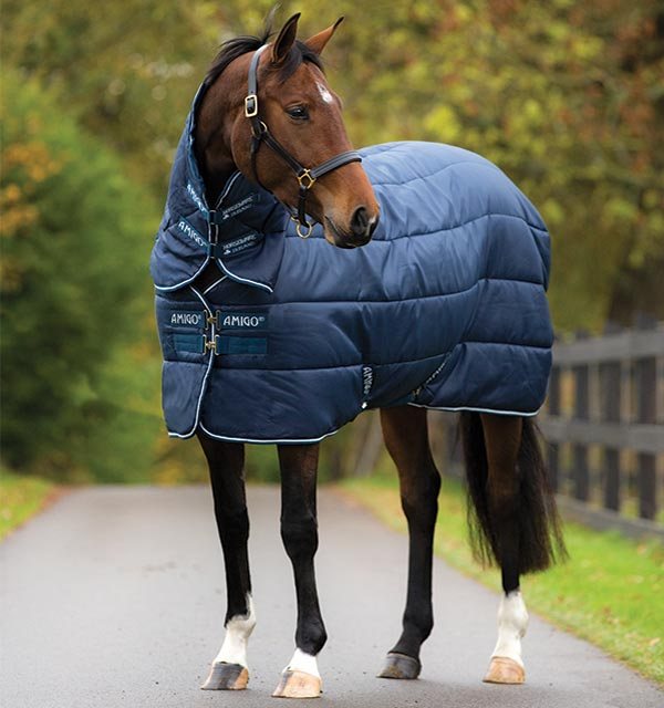 Horse in Amigo Insulator Rug