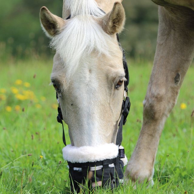 Shires Shires Deluxe Comfort Grazing Muzzle