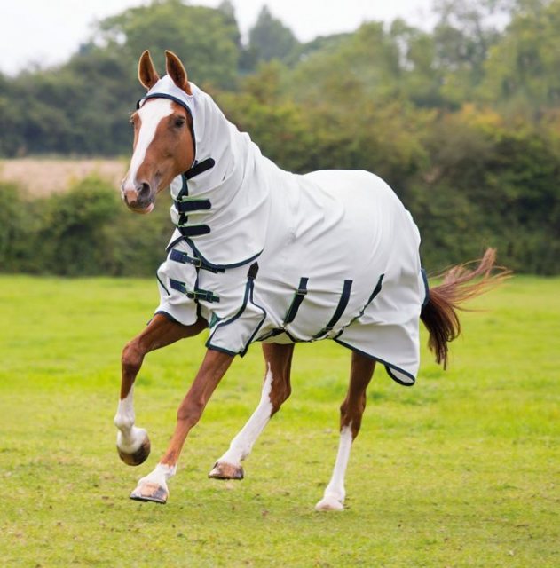 Sweet Itch Rug - Shires Highlander Combo