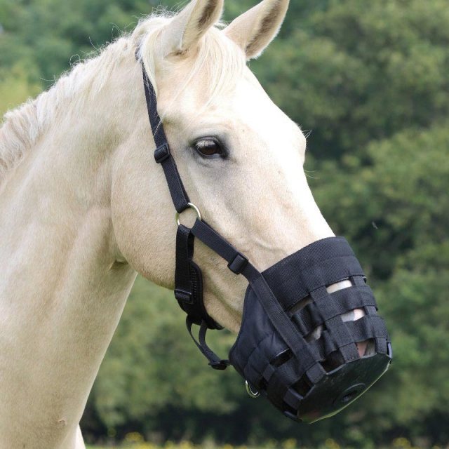 Shires Shires Comfort Grazing Muzzle