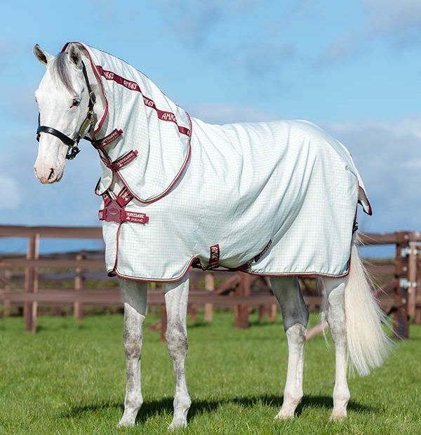 White horse in Amigo Aussie All Rounder (Disc Front)