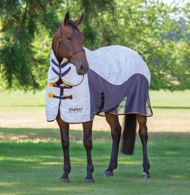 Shires Shires Tempest Original Summer Shield with Mesh