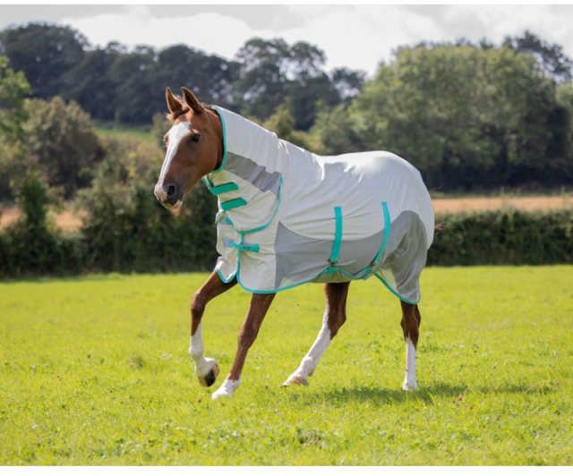 Shires Tempest Original Summer Shield with Mesh 