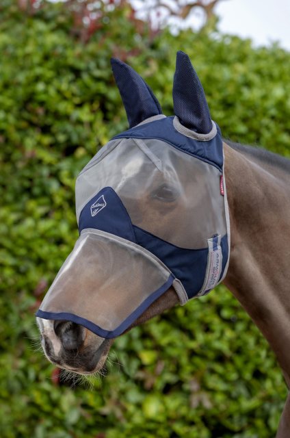 Horse wearing LeMieux Armour Shield Full Mask