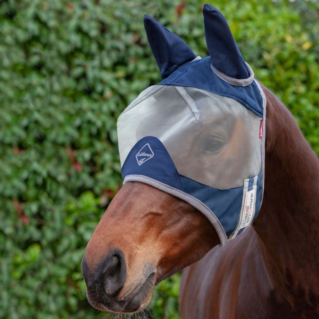 Horse wearing LeMieux Armour Shield Half Mask