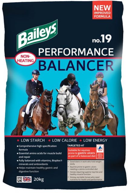 Baileys No19 Performance Balancer