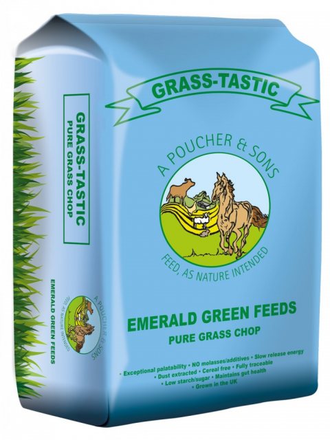 Emerald Green Grass Tastic