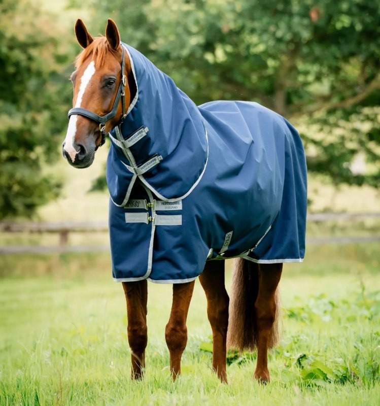 Screenshot 20 10 2026 114816 www horseware com