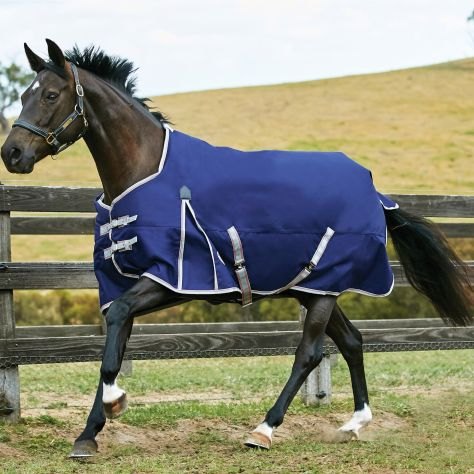 Horse in blue Weatherbeeta Rug