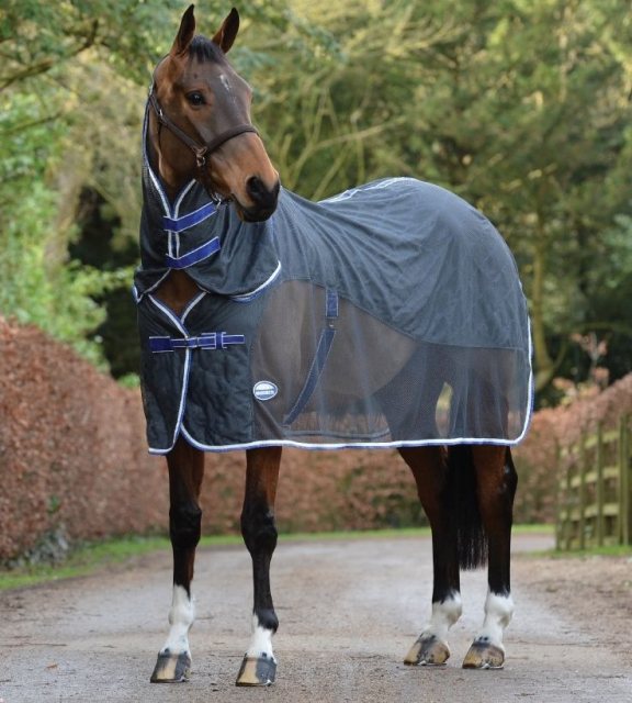 Horse wearing Weatherbeeta Wick Dri II Cooler Combo Neck