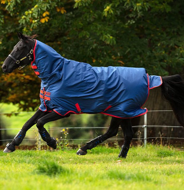 Horse galloping in field in blue turnout rug