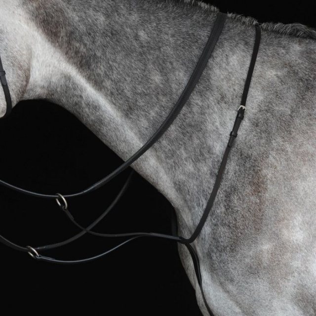 Collegiate Collegiate Running Martingale IV