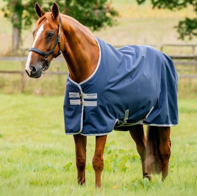 Screenshot 15 10 2026 142837 www redpostequestrian co uk