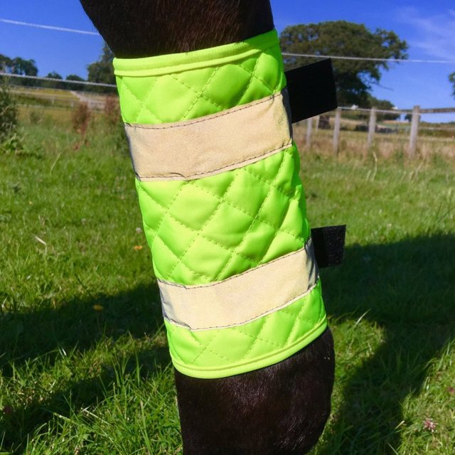 Horse's leg in EquiSafety Quilted Leg Boots