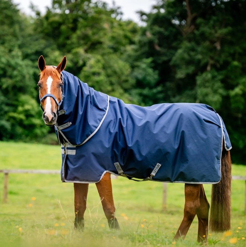 Screenshot 15 10 2026 161637 www redpostequestrian co uk