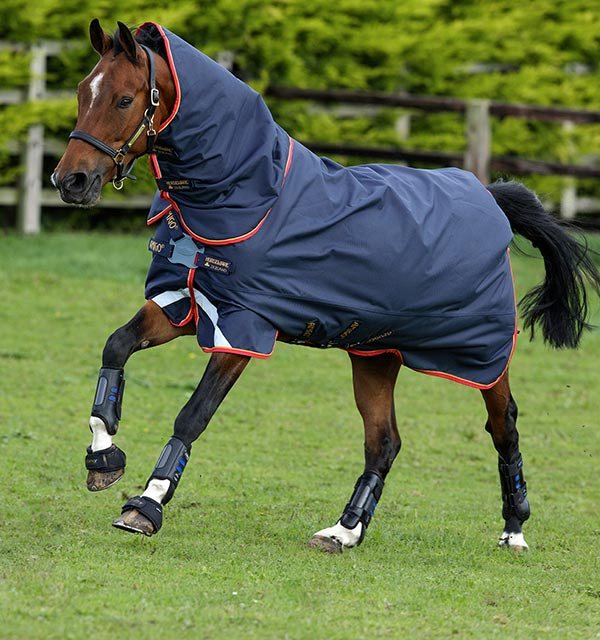 Horse galloping with Amigo Bravo Turnout Rug