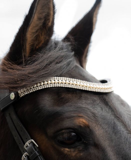 EcoRider Ecorider Freedom Grace Browband