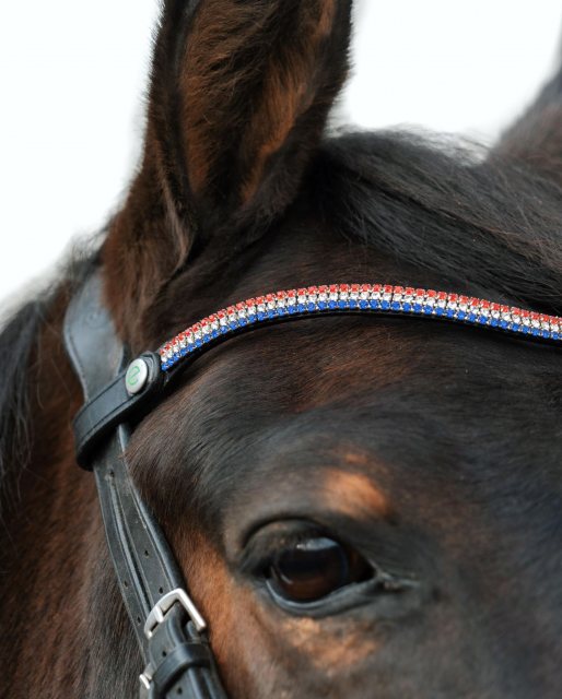 EcoRider Ecorider Freedom Victoria Browband