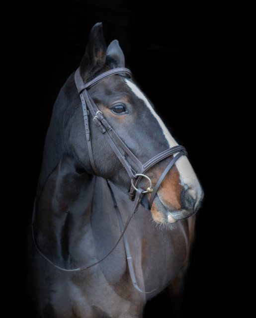 Cameo Equine Cameo Equine Core Collection Comfort Bridle