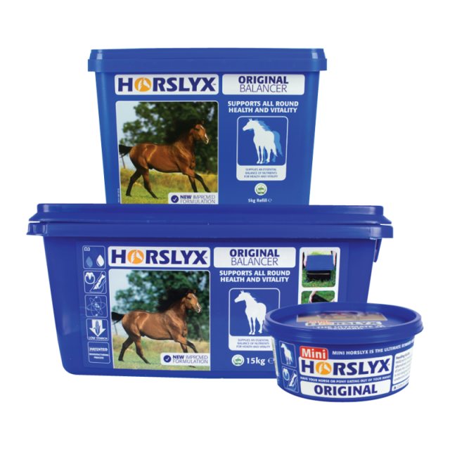 Horslyx Horslyx Original