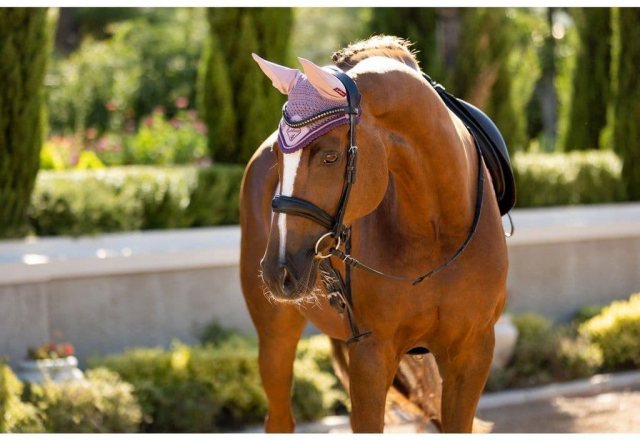 Lemieux Classic Lycra Fly Hood Musk Competition Ears Veils Unicorn Saddlery Lemieux Classic Lycra Fly Hood Musk Competition Ears Veils Unicorn Saddlery