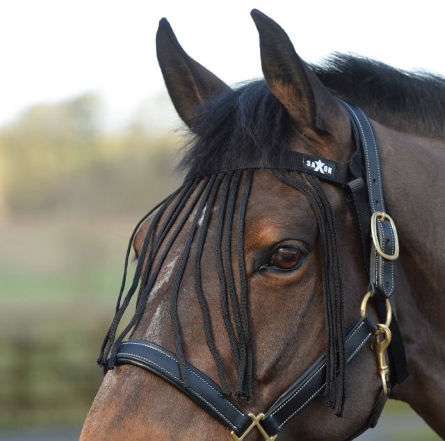 Horse wearing Saxon Fly Fringe