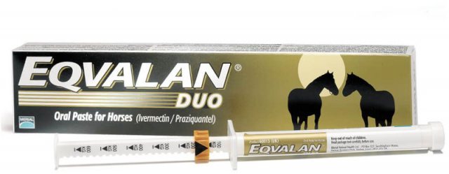 Eqvalan Duo