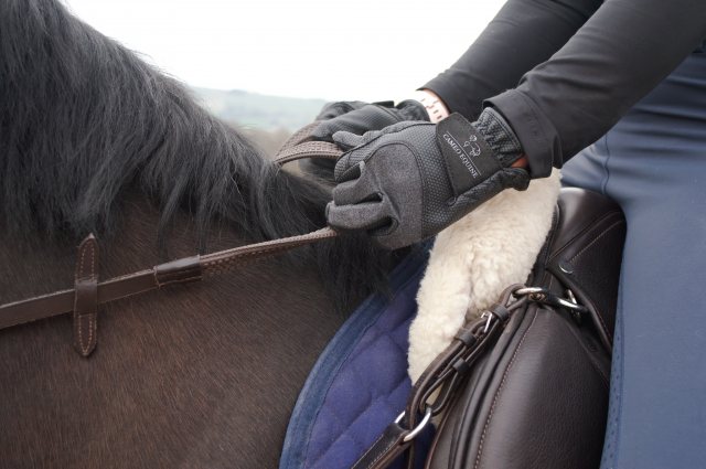 Cameo Equine Cameo Equine Competition Gloves