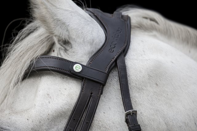 EcoRider Ecorider Freedom Comfort Browband