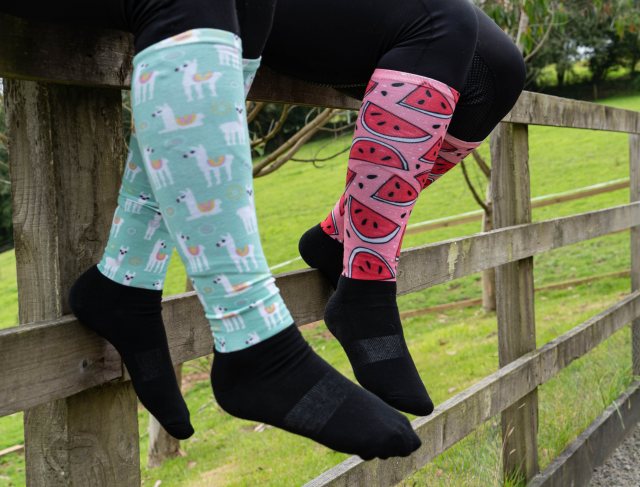 Cameo Equine Cameo Equine Adults Cameo Socks - Llama