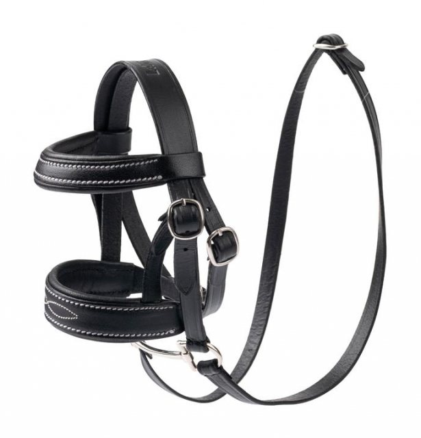 LeMieux LeMieux Mini LeMieux Pony Bridle